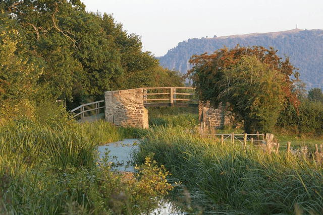 The Montgomery Canal, Four Crosses, Powys, Wales by Sam Davis - Photographic Print  