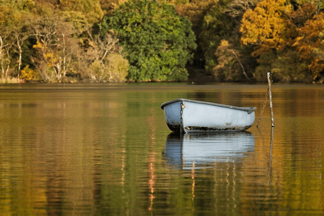Row Boat at Llanberis, Wales by Sam Davis - Photographic Print