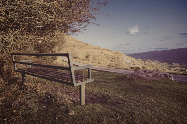 Vale of Llangollen, Wales by Sam Davis - Photographic Print   (2)