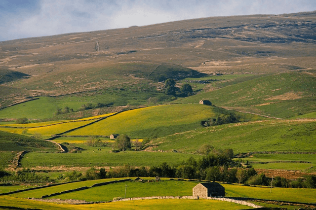 Summertime in Ribblesdale, Yorkshire Dales National Park, England  by Sam Davis - Photographic Print