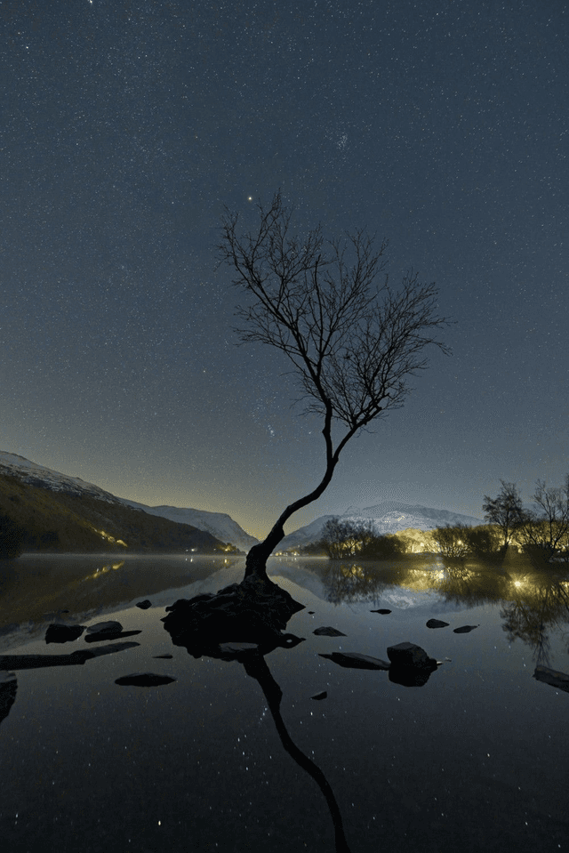 Lonely Tree Night, Llanberis, Eryri (Snowdonia), Wales by Sam Davis - Photographic Print 