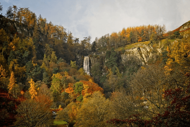 Pistyll Rhaeadr Waterfall in Autumn, Wales by Sam Davis - Photographic Print 
