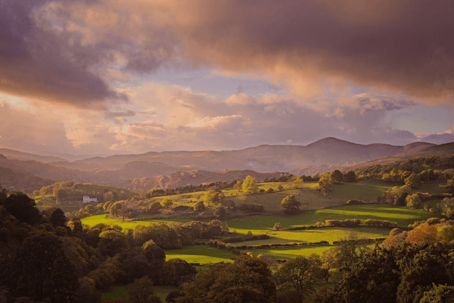 Vale of Llangollen, Wales by Sam Davis - Photographic Print   (3)