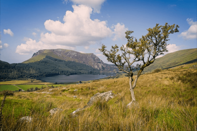 Llyn Cwellyn, Eryri (Snowdonia), Wales by Sam Davis - Photographic Print