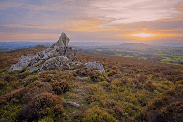 Diamond Rock, Stiperstones, Shropshire, England  by Sam Davis - Photographic Print